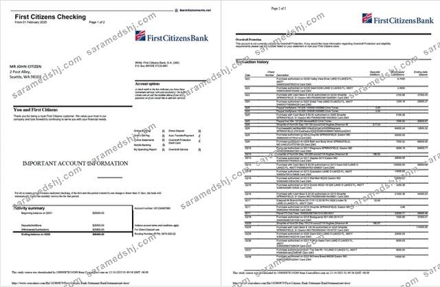 USA First Citizens Bank statement Word and PDF template, 2 pages